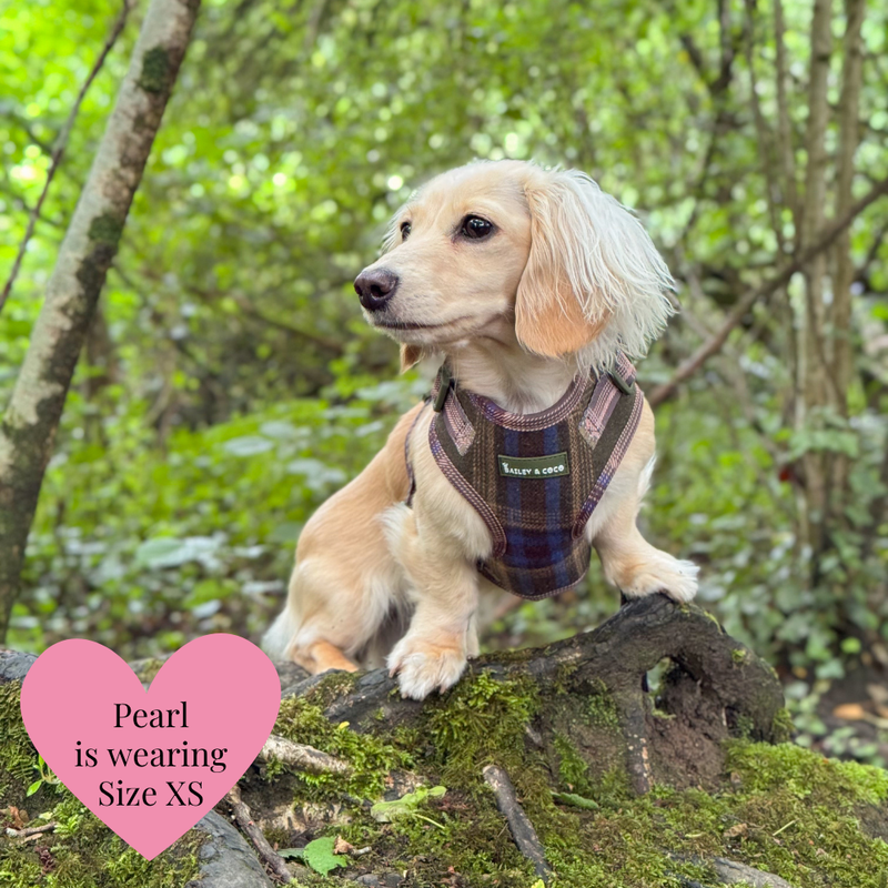 Mayfair Tweed - Colour Drops - Lightweight & Adjustable Dog Harness, Lead, Collar & Dog Walking Bag Bundle Latte - Bailey and Coco (UK)