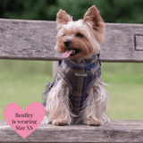Mayfair Tweed - Colour Drops - Lightweight & Adjustable Dog Harness, Lead, Collar & Dog Walking Bag Bundle Latte - Bailey and Coco (UK)