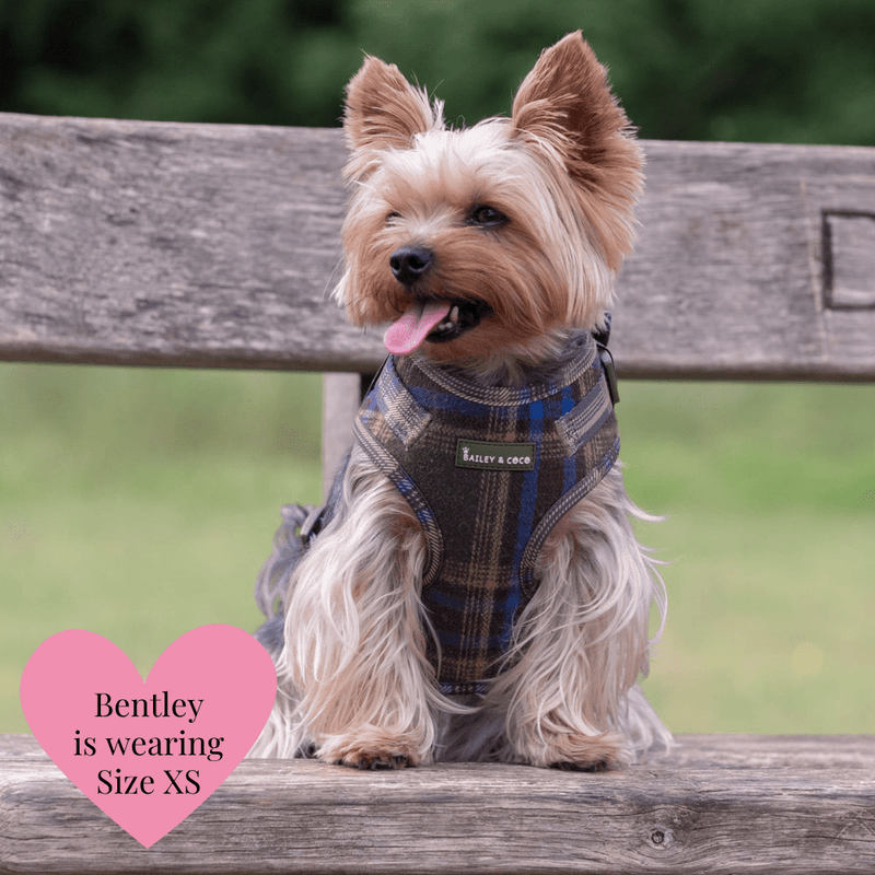 Mayfair Tweed - Colour Drops - Lightweight & Adjustable Dog Harness, Lead, Collar & Dog Walking Bag Bundle Latte - Bailey and Coco (UK)