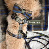 Mayfair Tweed - Colour Drops - Lightweight & Adjustable Dog Harness, Lead, Collar & Dog Walking Bag Bundle Latte - Bailey and Coco (UK)