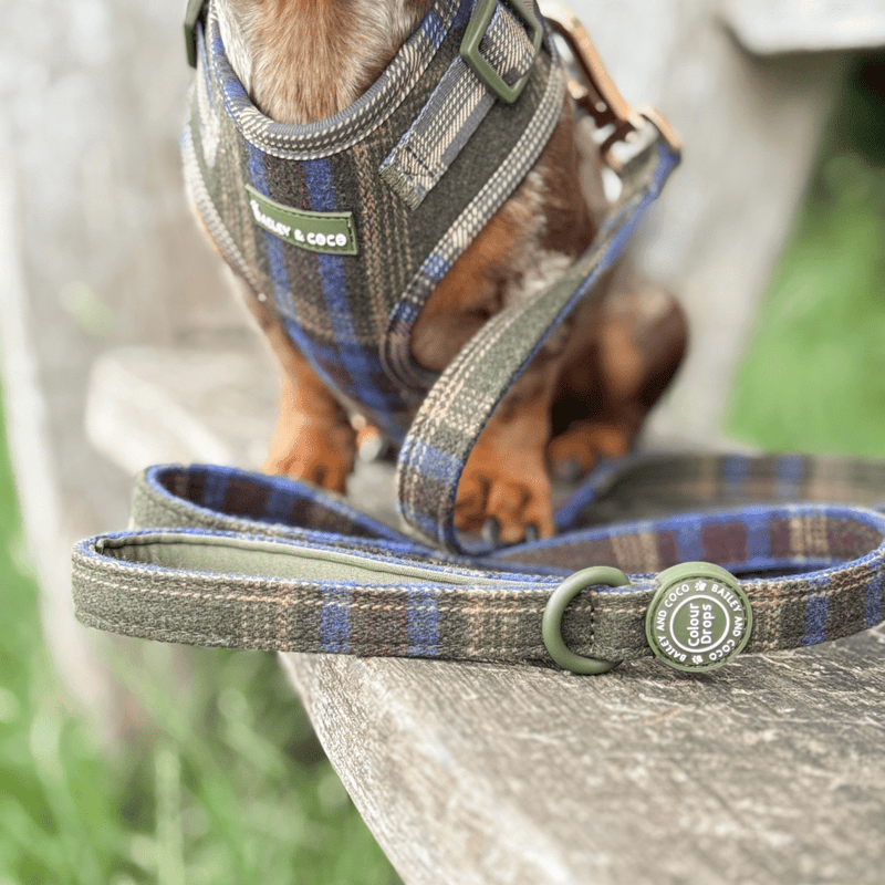 Mayfair Tweed - Colour Drops - Lightweight & Adjustable Dog Harness, Lead, Collar & Dog Walking Bag Bundle Latte - Bailey and Coco (UK)