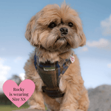 Mayfair Tweed - Colour Drops - Lightweight & Adjustable Dog Harness, Lead, Collar & Dog Walking Bag Bundle Latte - Bailey and Coco (UK)