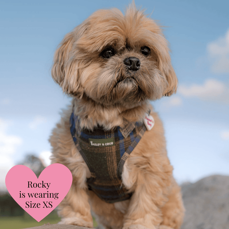Mayfair Tweed - Colour Drops - Lightweight & Adjustable Dog Harness, Lead, Collar & Dog Walking Bag Bundle Latte - Bailey and Coco (UK)