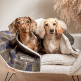 Mayfair Tweed Dog Blanket - Bailey and Coco (UK)