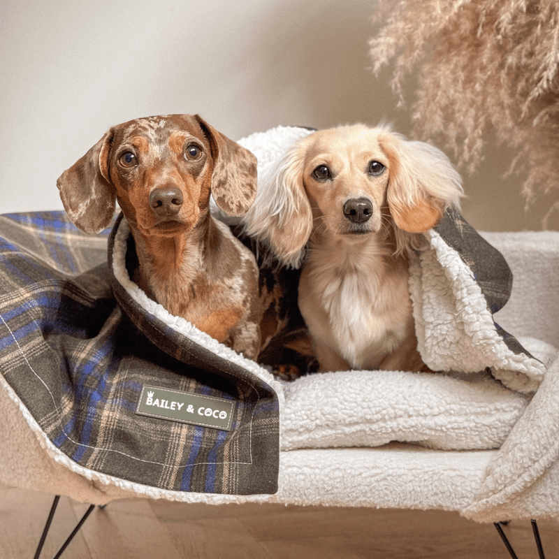 Mayfair Tweed Dog Blanket - Bailey and Coco (UK)