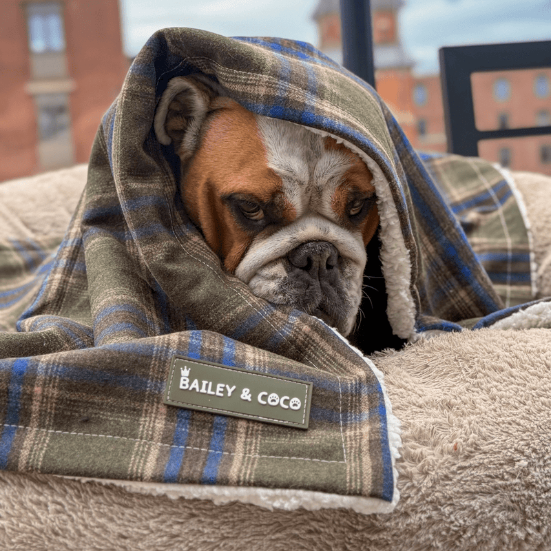 Mayfair Tweed Dog Blanket - Bailey and Coco (UK)