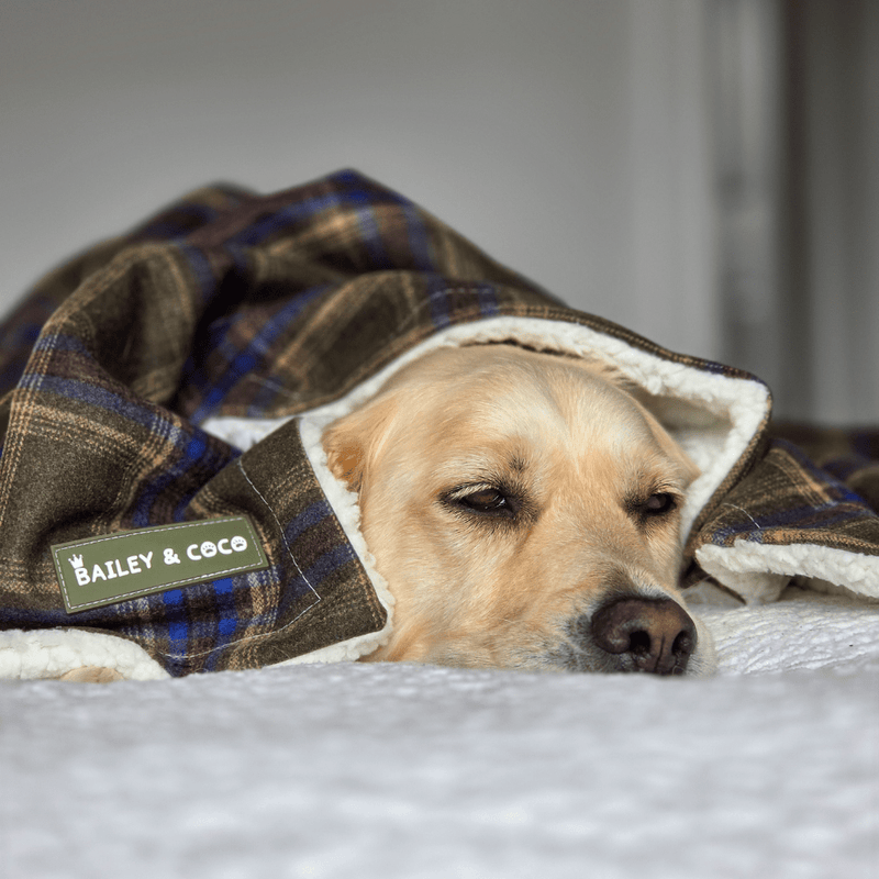 Mayfair Tweed Dog Blanket - Bailey and Coco (UK)