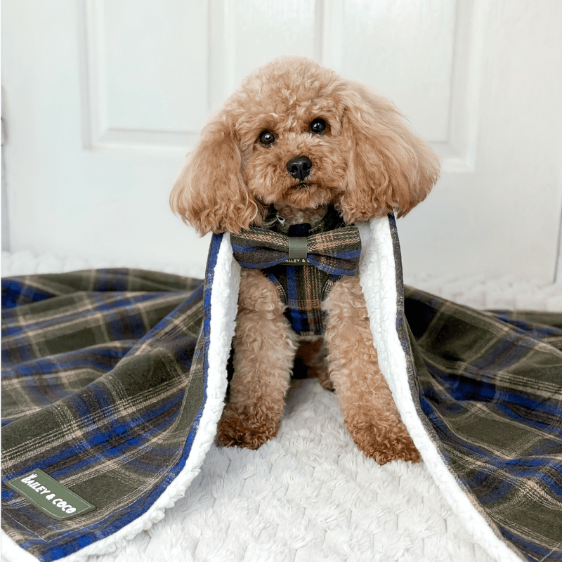 Mayfair Tweed Dog Blanket - Bailey and Coco (UK)