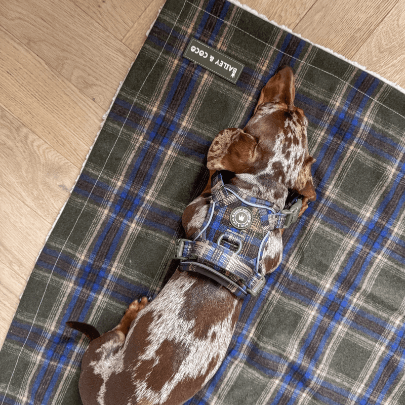 Mayfair Tweed Dog Blanket - Bailey and Coco (UK)