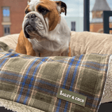 Mayfair Tweed Dog Blanket - Bailey and Coco (UK)
