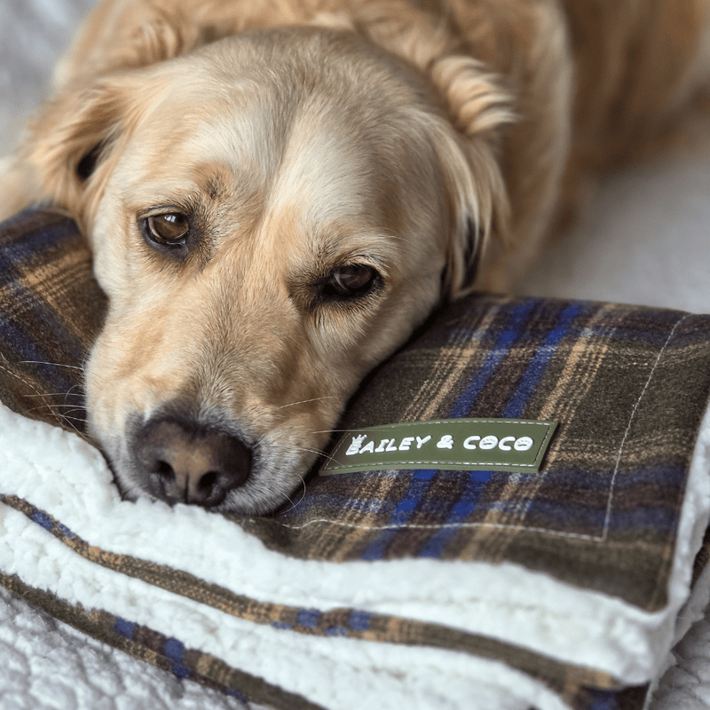 Mayfair Tweed Dog Blanket - Bailey and Coco (UK)