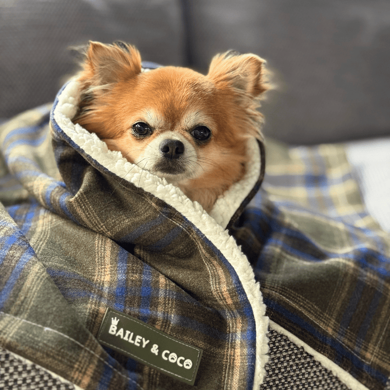 Mayfair Tweed Dog Blanket - Bailey and Coco (UK)