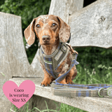 Mayfair Tweed Dog Harness - Adjustable Neck Dog Harness - Bailey and Coco (UK)