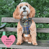 Mayfair Tweed Dog Harness - Adjustable Neck Dog Harness - Bailey and Coco (UK)