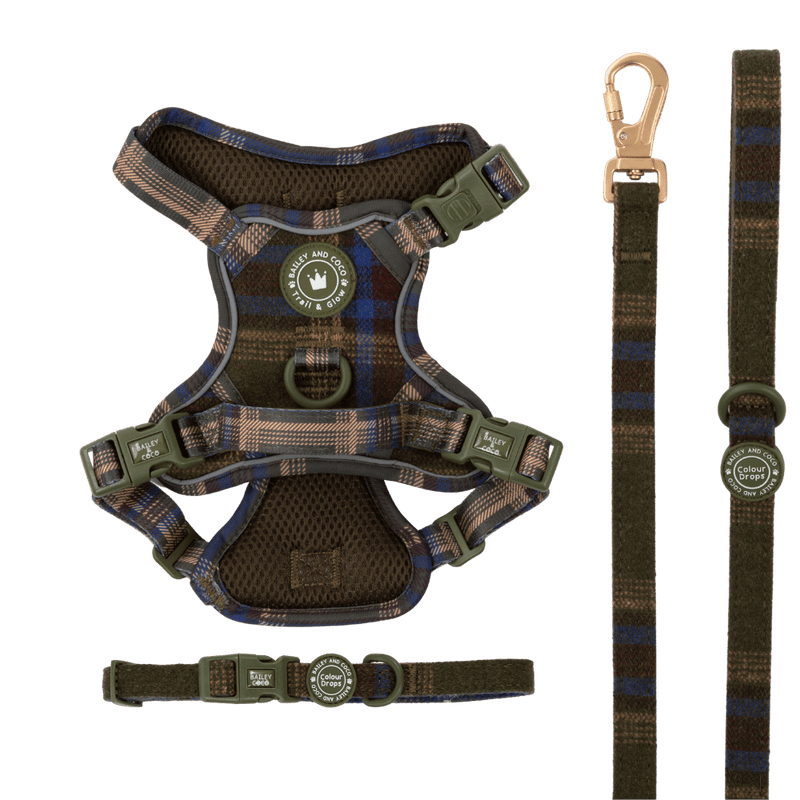 Mayfair Tweed Trail & Glow Dog Harness, Lead & Collar Bundle - Bailey and Coco (UK)