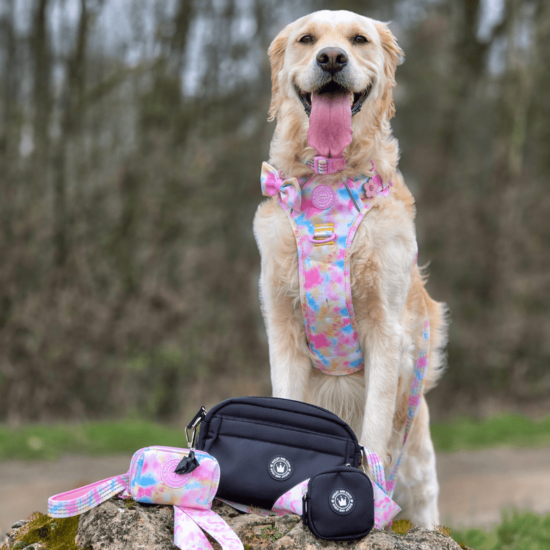 Mini Magnetic Snap Dog Walking Bag with Candy Floss Strap - Bailey and Coco (UK)