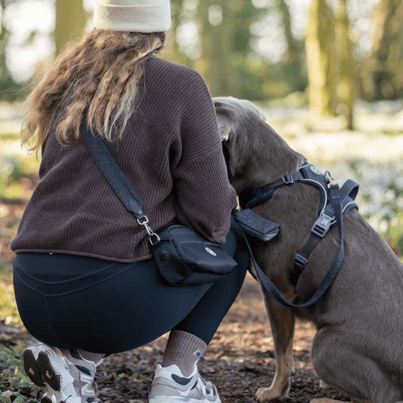 Mini Magnetic Snap Dog Walking Bag with Charcoal Tweed Strap - Bailey and Coco (UK)