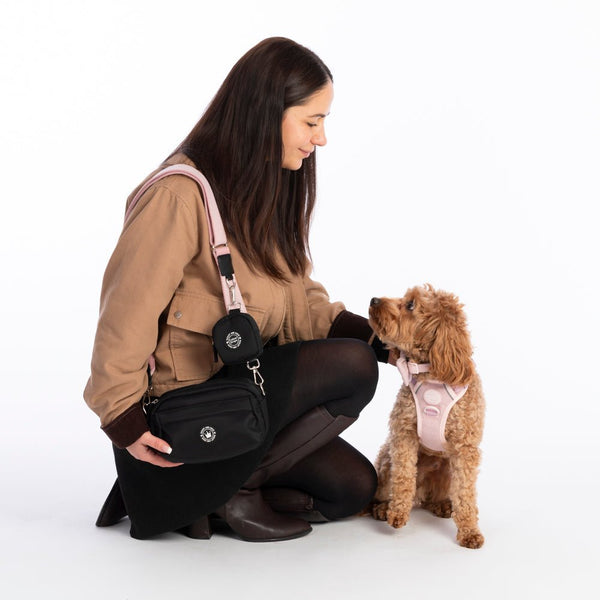 Mini Magnetic Snap Dog Walking Bag with Lavender Tweed Strap - Bailey and Coco (UK)