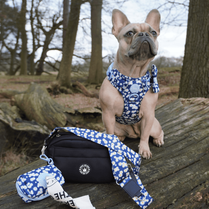 Mini Magnetic Snap Dog Walking Bag with Loves me, Loves me not Strap - Bailey and Coco (UK)