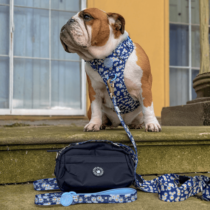 Mini Magnetic Snap Dog Walking Bag with Loves me, Loves me not Strap - Bailey and Coco (UK)