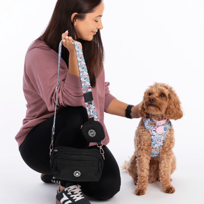 Mini Magnetic Snap Dog Walking Bag with Spring Dreams Strap - Bailey and Coco (UK)