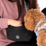 Mini Magnetic Snap Dog Walking Bag with Spring Dreams Strap - Bailey and Coco (UK)