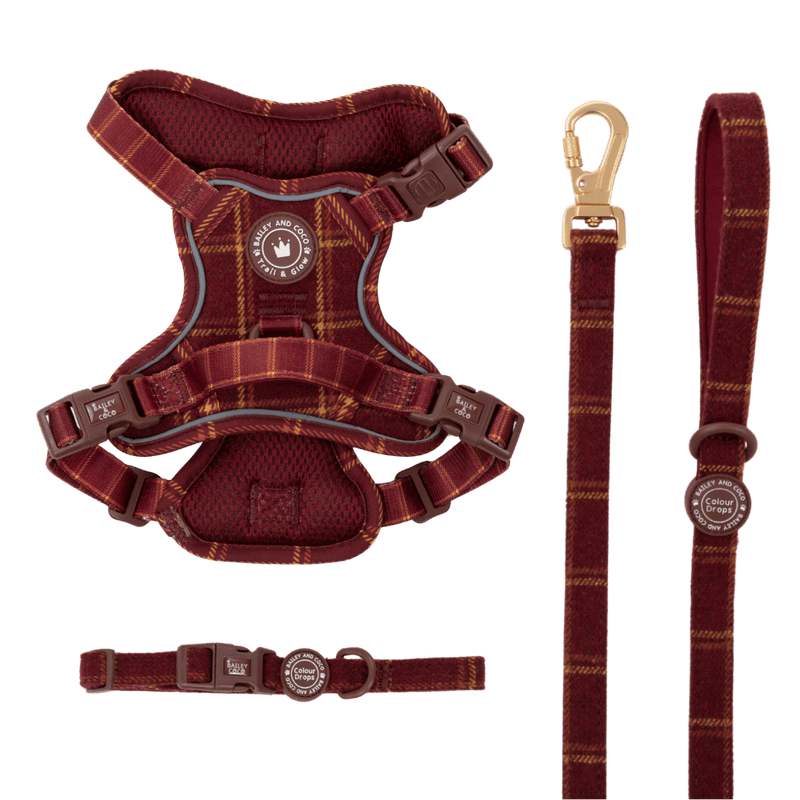 Mulberry Plaid Trail & Glow Dog Harness, Lead & Collar Bundle - Bailey and Coco (UK)