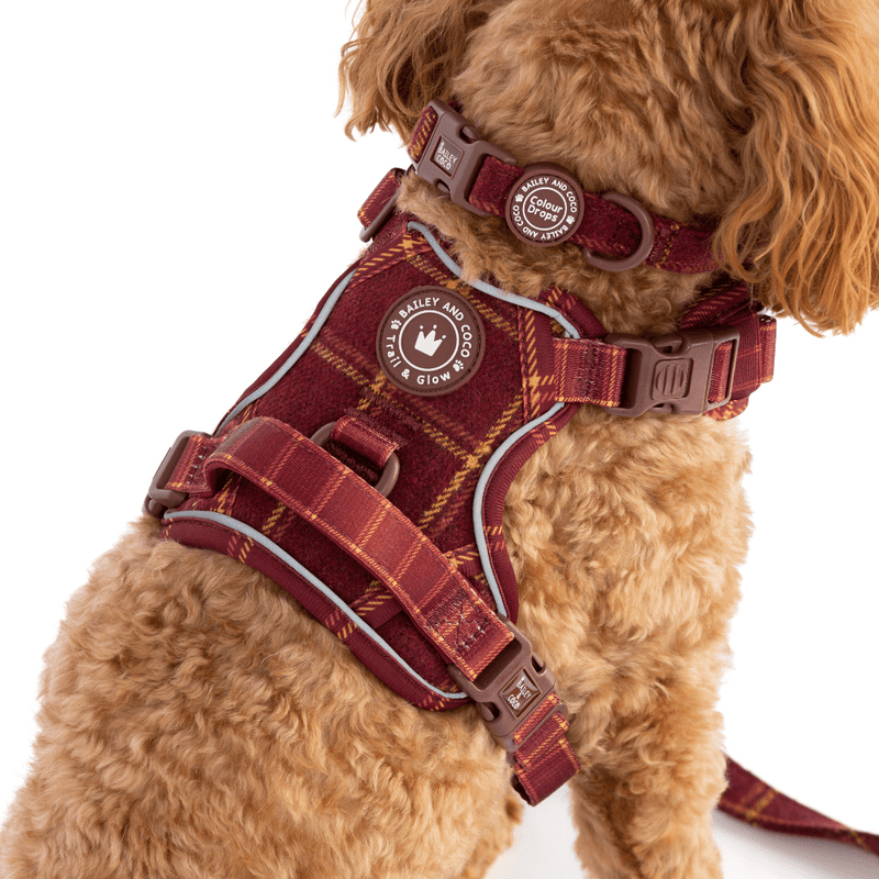 Mulberry Plaid Trail & Glow Dog Harness, Lead & Collar Bundle - Bailey and Coco (UK)