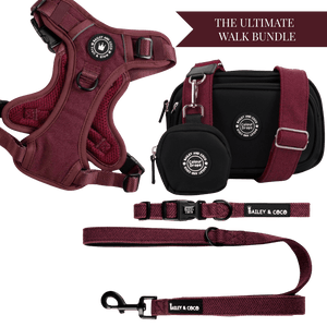Mulberry Tweed Adjustable Dog Harness, Lead, Collar & Dog Walking Bag Bundle