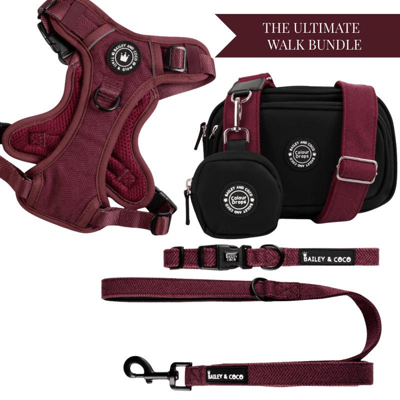 Mulberry Tweed Adjustable Dog Harness, Lead, Collar & Dog Walking Bag Bundle - Bailey and Coco (UK)