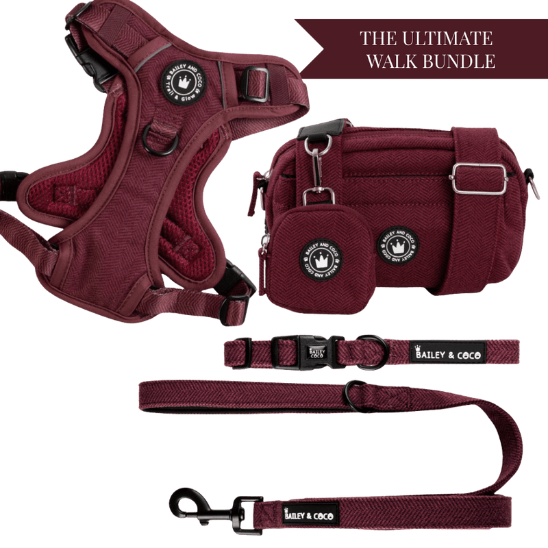 Mulberry Tweed Adjustable Dog Harness, Lead, Collar & Tweed Dog Walking Bag Bundle - Bailey and Coco (UK)