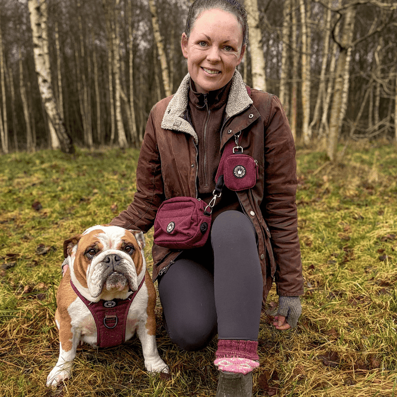 Mulberry Tweed Adjustable Dog Harness, Lead, Collar & Tweed Dog Walking Bag Bundle - Bailey and Coco (UK)