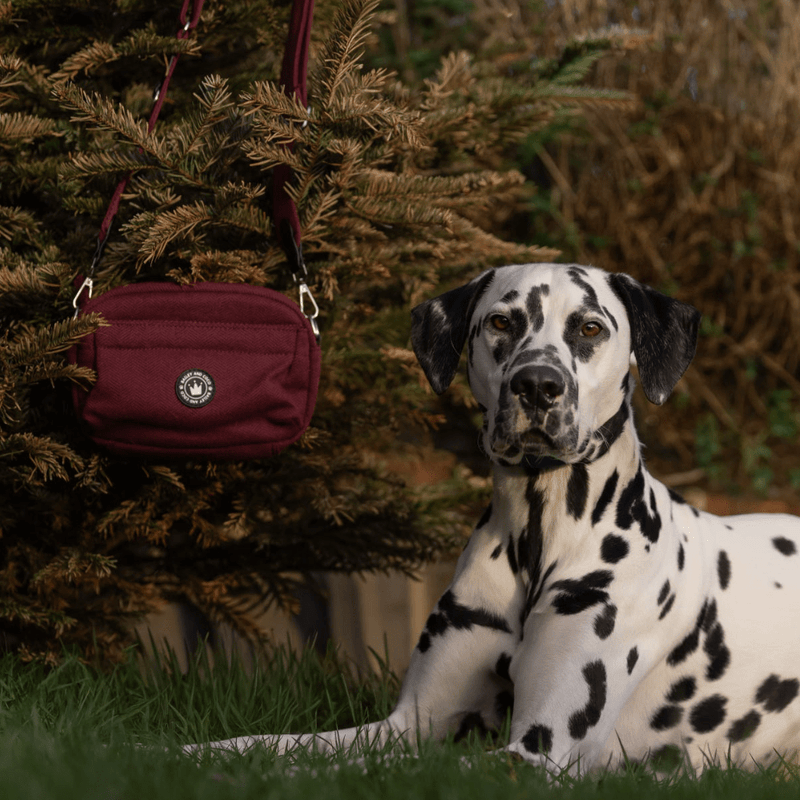 Mulberry Tweed Adjustable Dog Harness, Lead, Collar & Tweed Dog Walking Bag Bundle - Bailey and Coco (UK)