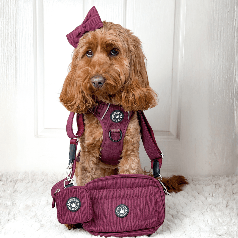 Mulberry Tweed Adjustable Dog Harness, Lead, Collar & Tweed Dog Walking Bag Bundle - Bailey and Coco (UK)