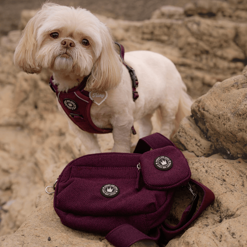 Mulberry Tweed Adjustable Dog Harness, Lead, Collar & Tweed Dog Walking Bag Bundle - Bailey and Coco (UK)
