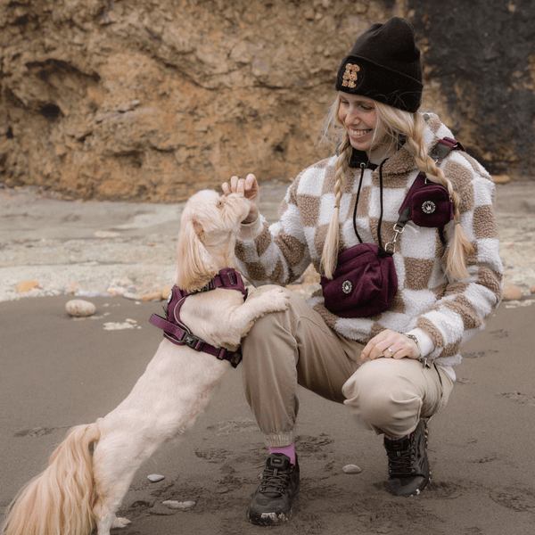 Premium Mulberry Tweed Dog Walking Bag - alternate view