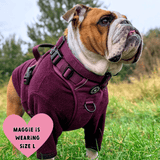 Mulberry Tweed - Colour Drops - Adjustable Dog Harness, Lead, Collar & Mini Black Dog Walking Bag Bundle - Bailey and Coco (UK)