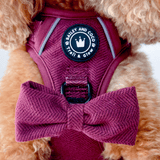 Mulberry Tweed - Colour Drops - Adjustable Dog Harness, Lead, Collar & Mini Black Dog Walking Bag Bundle - Bailey and Coco (UK)
