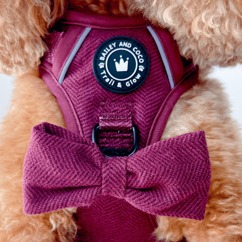 Mulberry Tweed - Colour Drops - Adjustable Dog Harness, Lead, Collar & Mini Black Dog Walking Bag Bundle - Bailey and Coco (UK)