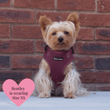 Mulberry Tweed - Colour Drops - Lightweight & Adjustable Dog Harness, Lead, Collar & Dog Walking Bag Bundle - Bailey and Coco (UK)