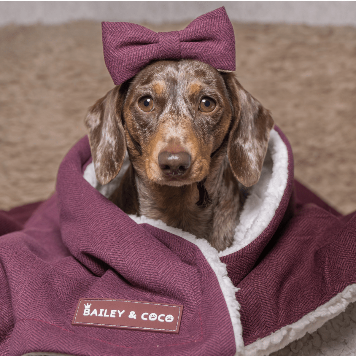 Mulberry Tweed Dog Blanket - Bailey and Coco (UK)
