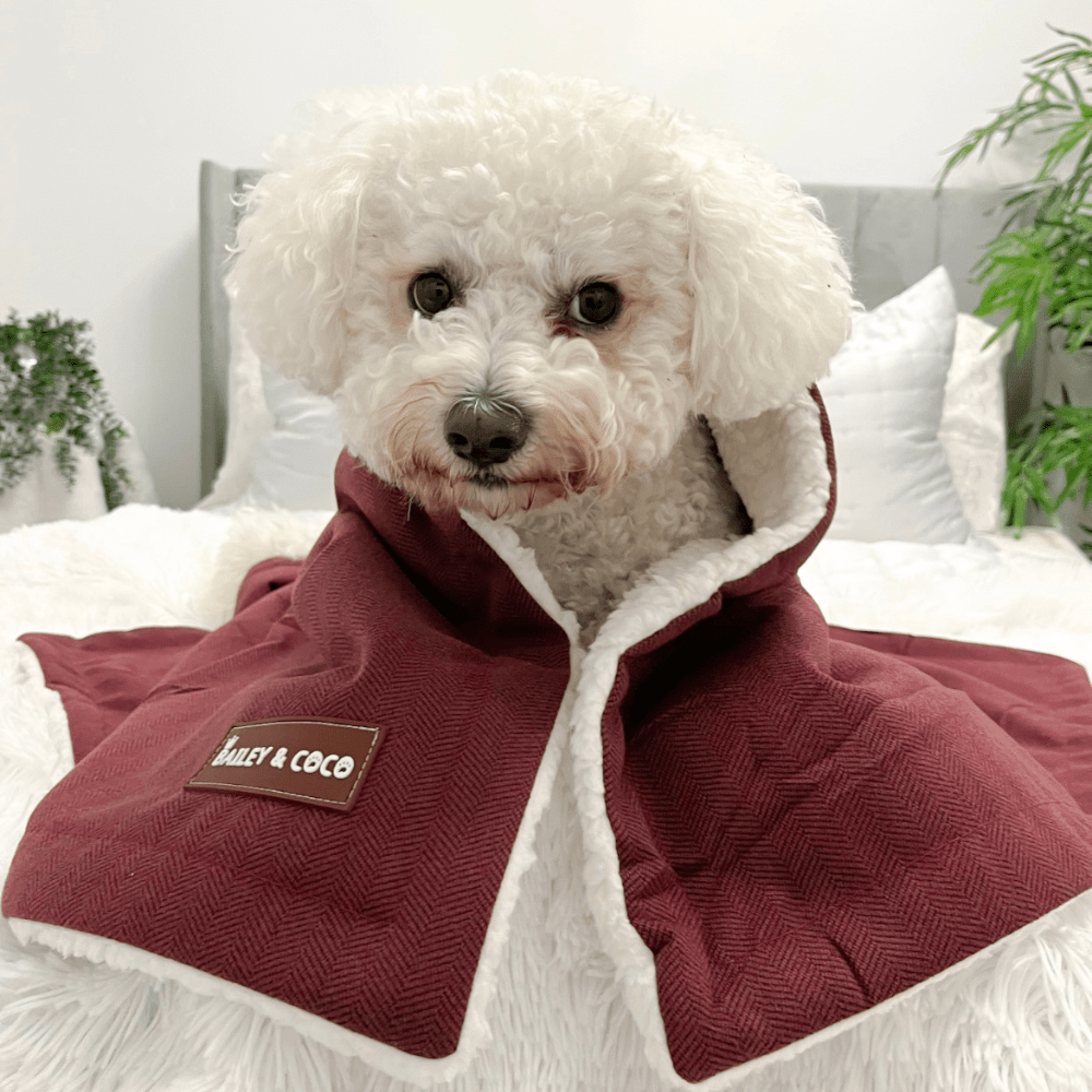 Mulberry Tweed Dog Blanket - Bailey and Coco (UK)