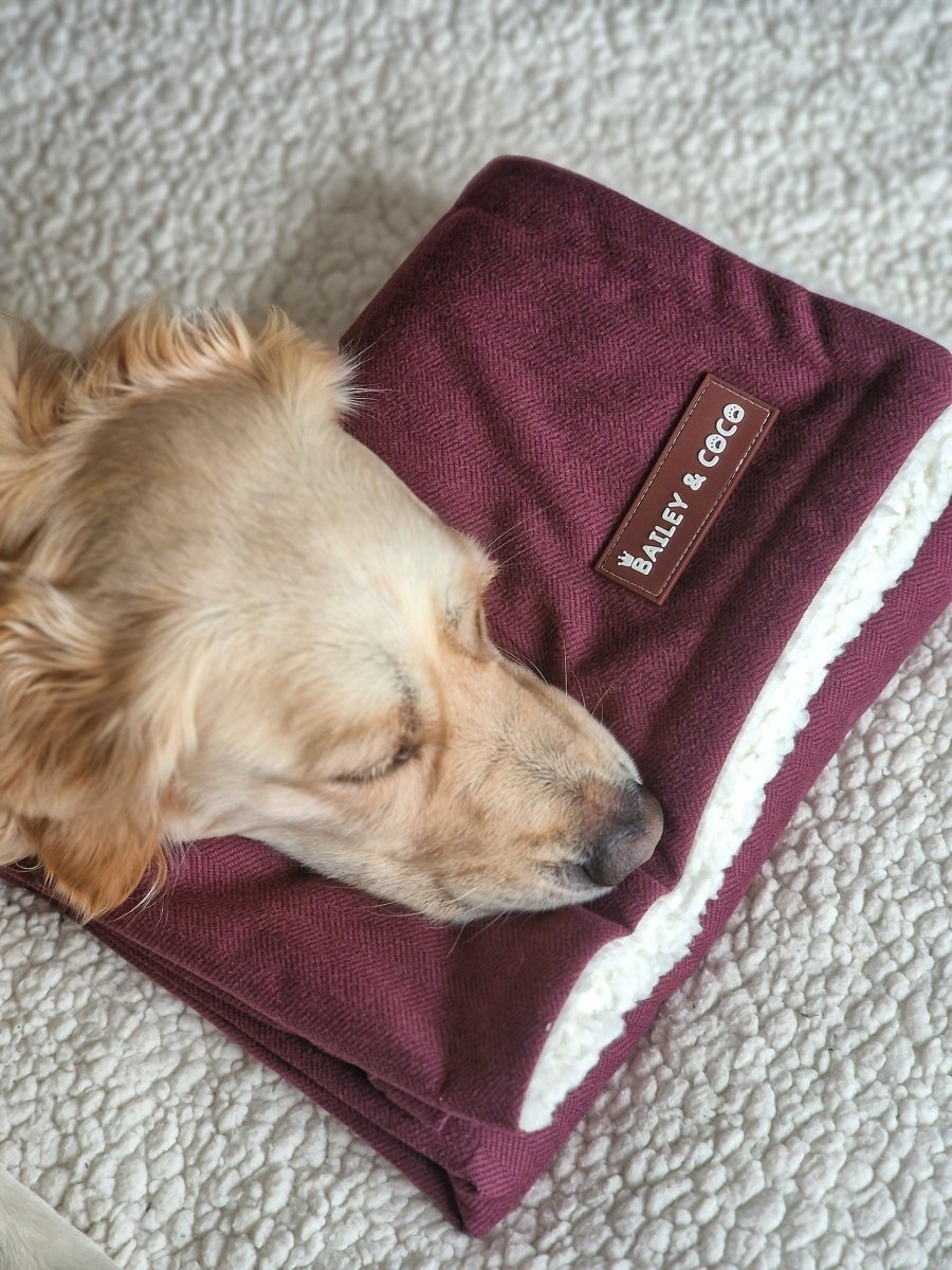 Mulberry Tweed Dog Blanket - Bailey and Coco (UK)