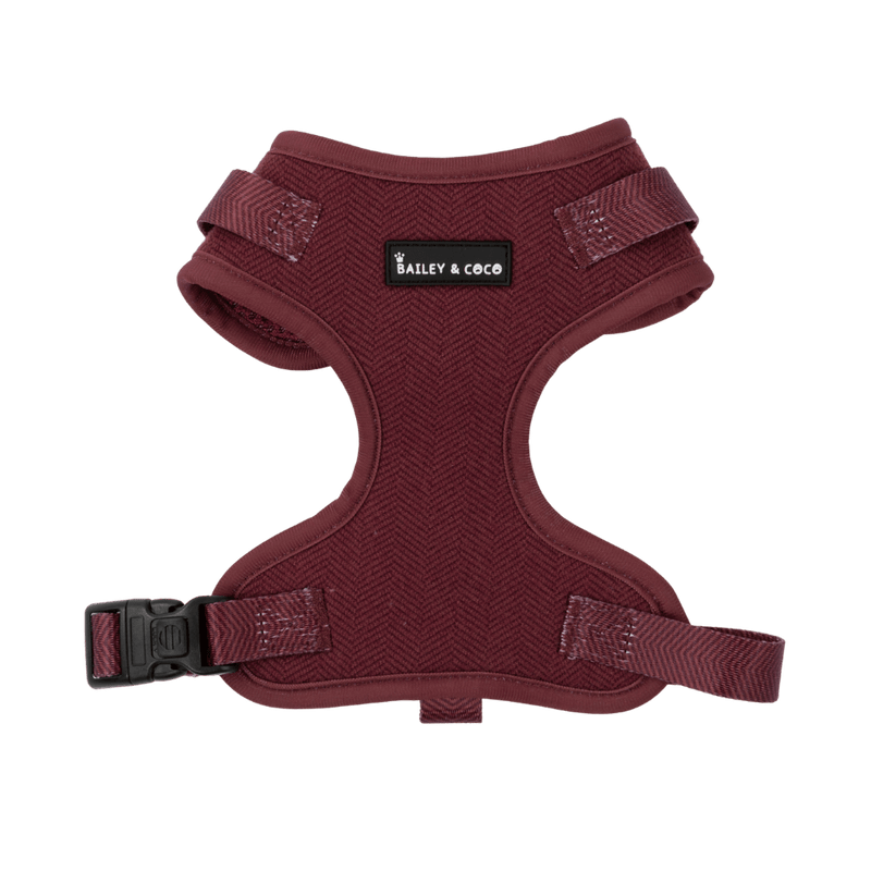 Mulberry Tweed Dog Harness - Adjustable Neck Dog Harness - Bailey and Coco (UK)