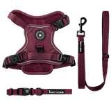 Mulberry Tweed Trail & Glow Dog Harness, Lead & Collar Bundle - Bailey and Coco (UK)
