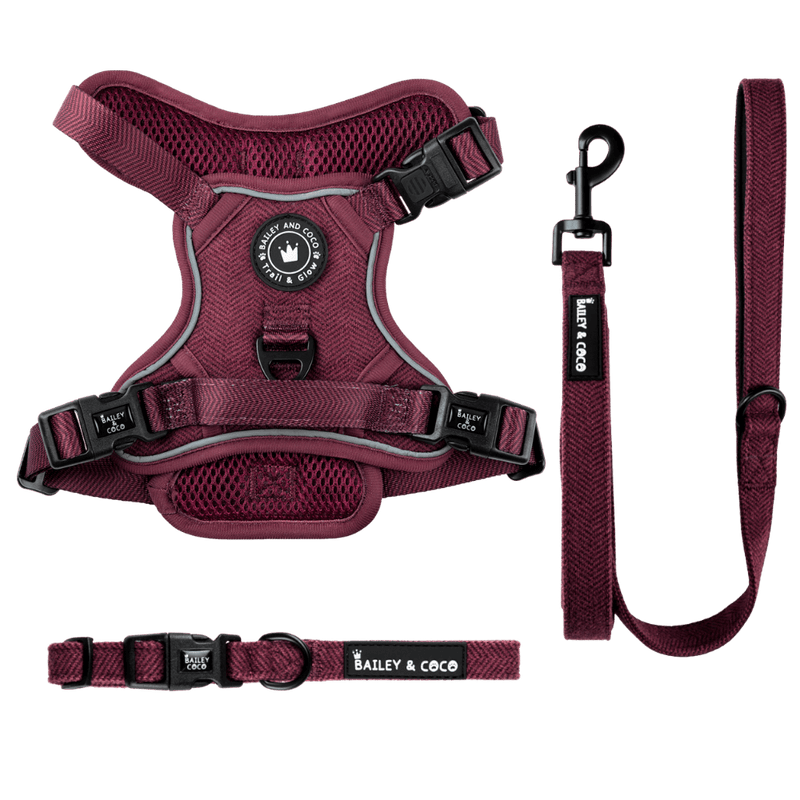 Mulberry Tweed Trail & Glow Dog Harness, Lead & Collar Bundle - Bailey and Coco (UK)
