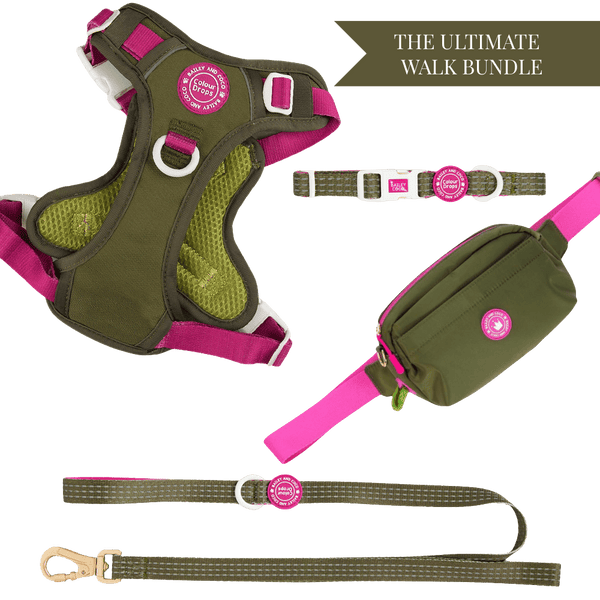 Olive it Hot Adjustable Dog Harness, Lead, Collar & Dog Walking Bag Bundle - Bailey and Coco (UK)