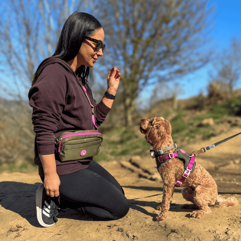 Olive it Hot Adjustable Dog Harness, Lead, Collar & Dog Walking Bag Bundle - Bailey and Coco (UK)