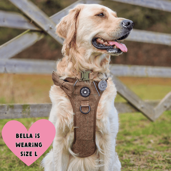 Oxford Tweed Adjustable Dog Harness, Lead, Collar & Dog Walking Bag Bundle - alternate view