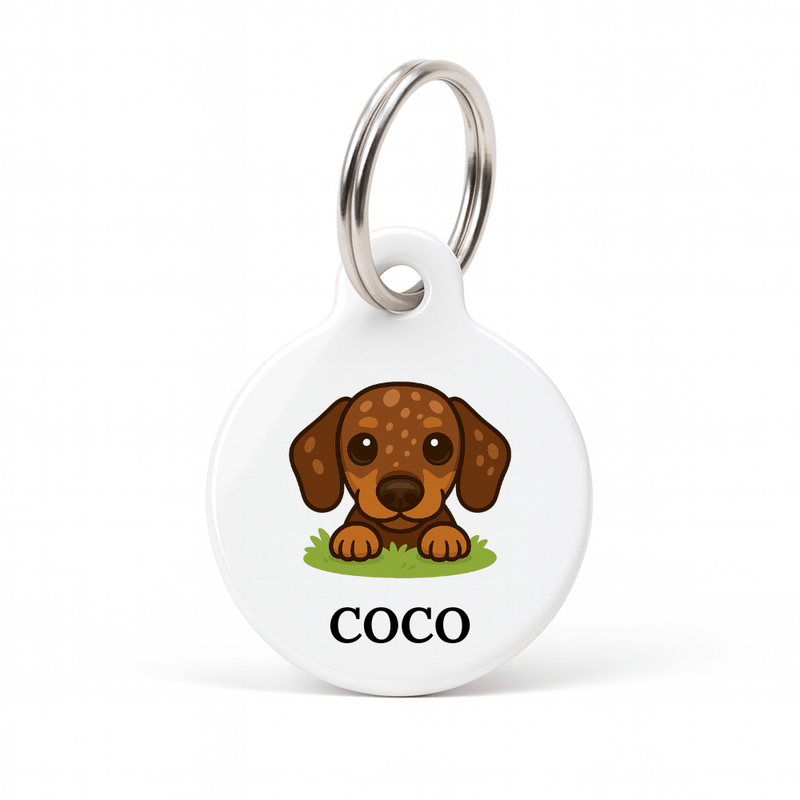 Personalised Dog ID Tag - Chocolate Smooth Dapple Dachshund - Bailey and Coco (UK)